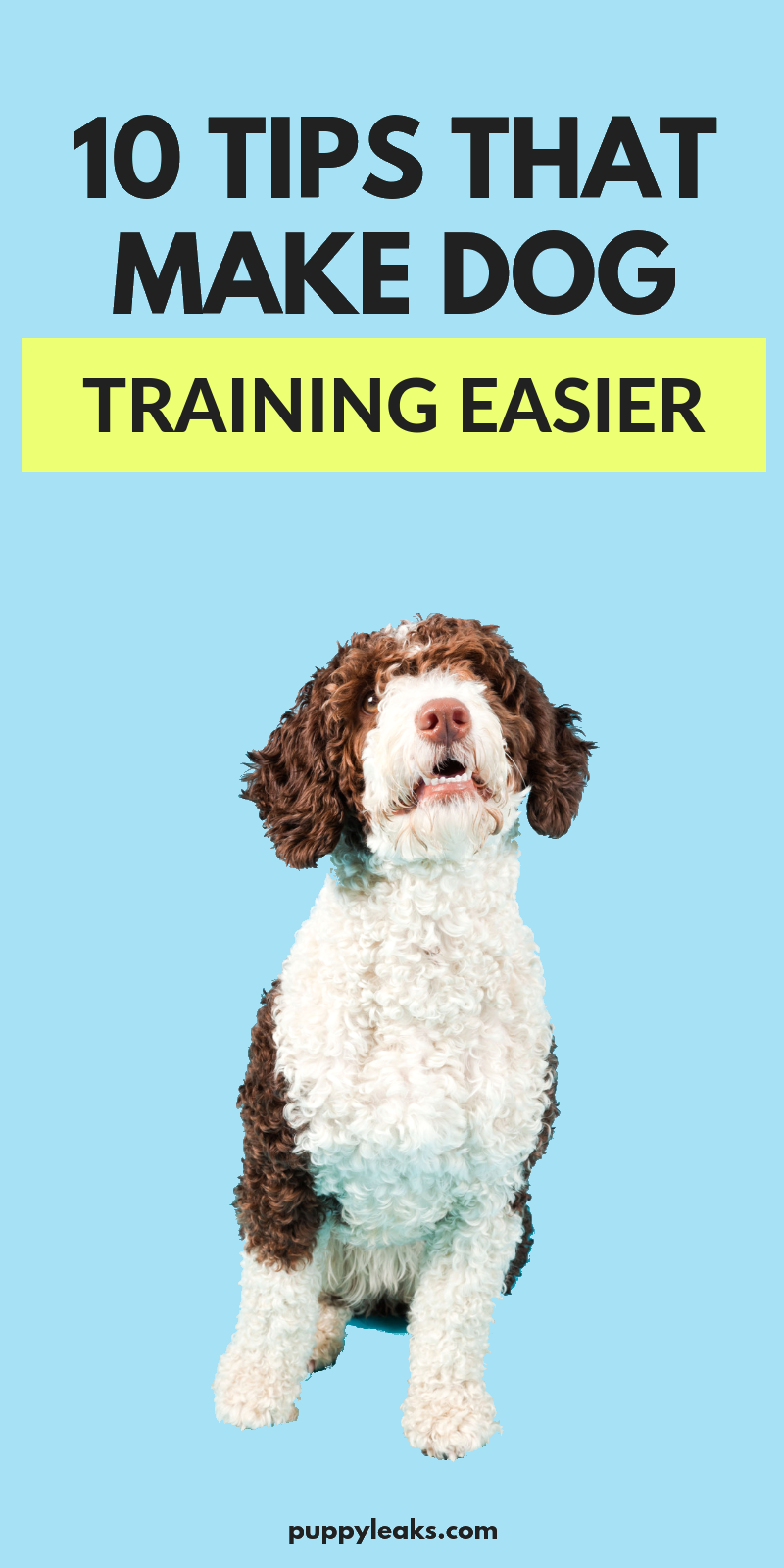 How to make dog training easier